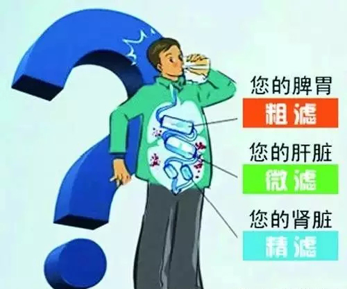饮水健康：富人的幸福，穷人的财富！91视频黄下载水管为您保驾护航！